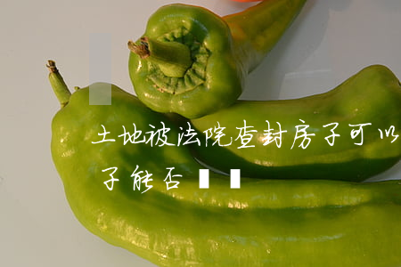 土地被法院查封房子可以買賣嗎(已查封的房子能否買賣)