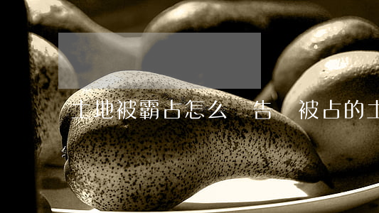 土地被霸占怎么寫告狀(被占的土地怎么起訴)