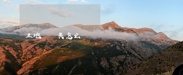 土地證丟失怎么補辦