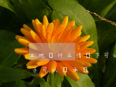 土地證什么情況下可以繼承(只有土地證的房子可以繼承嗎)