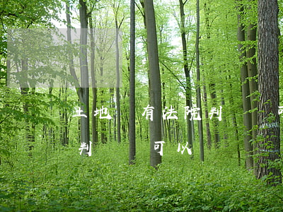土地證有法院判決書可以買嗎(土地證有法院判決書可以買嗎)