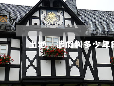 土地證造假判多少年(使用假土地證如何定罪)