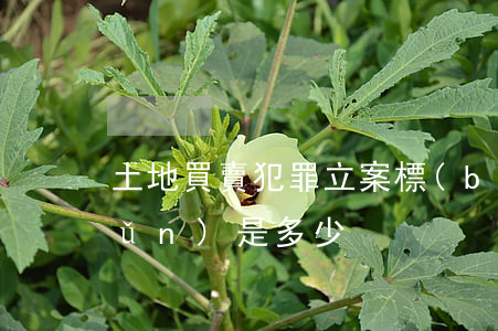 土地買賣犯罪立案標(biāo)準(zhǔn)是多少