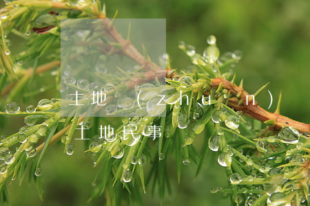 土地轉(zhuǎn)讓合同糾紛如何處理(土地民事糾紛)