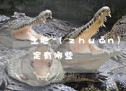 土地轉(zhuǎn)讓法律規(guī)定有哪些