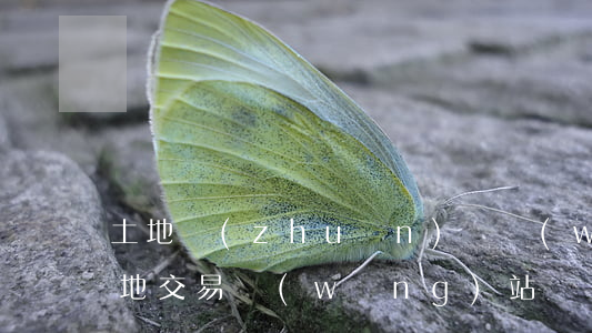 土地轉(zhuǎn)讓網(wǎng)(土地交易網(wǎng)站)