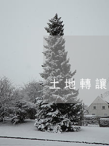 土地轉讓和出租的區(qū)別是什么