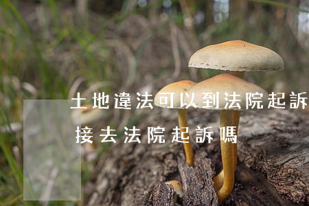 土地違法可以到法院起訴嗎(土地糾紛可以直接去法院起訴嗎)