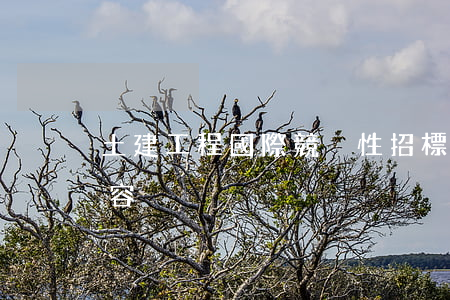土建工程國際競爭性招標合同內(nèi)容