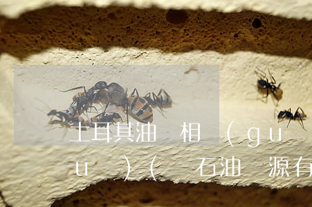 土耳其油氣相關(guān)法律法規(guī)(與石油資源有關(guān)的法律有哪些)