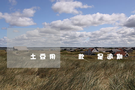 土豆用錢還款還是逾期