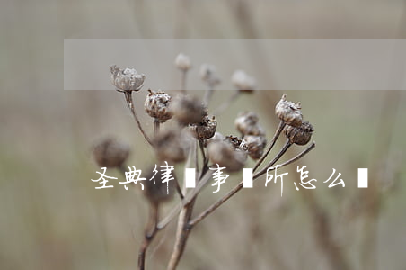 圣典律師事務所怎么樣