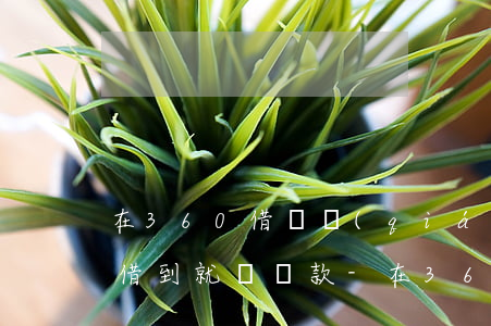 在360借條錢(qián)沒(méi)借到就讓還款-在360借條錢(qián)沒(méi)借到就讓還款怎么辦