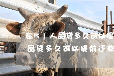 在51人品贷多久可以提前还款-在51人品贷多久可以提前还款啊