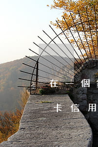 在一個銀行信用卡逾期會不會影響別的信用卡（信用卡逾期別的信用卡有影響嗎）
