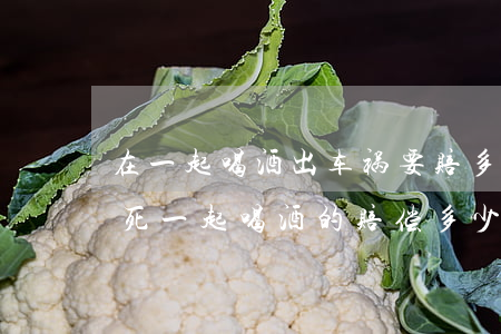 在一起喝酒出车祸要赔多少钱(喝酒后被车撞死,一起喝酒的赔偿多少钱?)