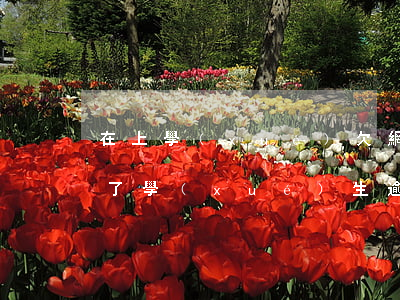 在上學(xué)欠網(wǎng)貸逾期了(學(xué)生逾期網(wǎng)貸)