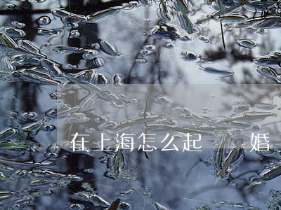 在上海怎么起訴離婚(離婚 上海)