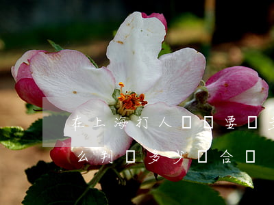 在上海打人輕傷要賠多少錢(打人輕傷法律怎么判賠多少錢合適)
