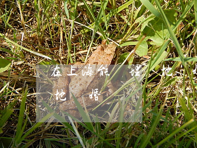 在上海能辦理異地離婚嗎(在上?？梢赞k理異地離婚嗎)