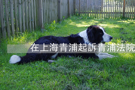 在上海青浦起訴(青浦法院立案庭)