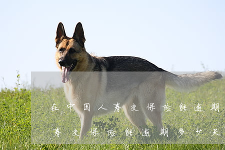 在中国人寿交保险能逾期多少天-在中国人寿交保险能逾期多少天啊