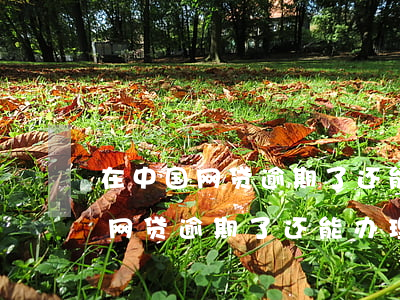 在中国网贷逾期了还能办理出国吗-在中国网贷逾期了还能办理出国吗知乎