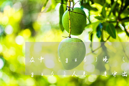 在中國(guó)境內(nèi)的外國(guó)人怎樣遵守出入境管理法