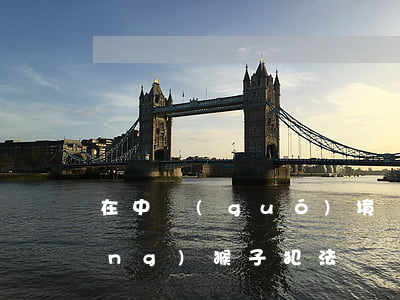 在中國(guó)境內(nèi)養(yǎng)猴子犯法嗎