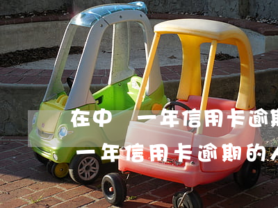 在中國一年信用卡逾期的人有多少-在中國一年信用卡逾期的人有多少錢