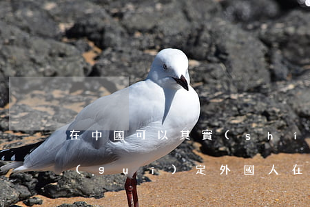 在中國可以其實(shí)外國人嗎法律(規(guī)定外國人在中國不受中國法律)