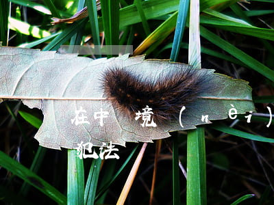 在中國境內(nèi)養(yǎng)猴子犯法嗎