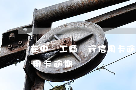 在中國工商銀行信用卡逾期五年（工商銀行信用卡逾期異議）