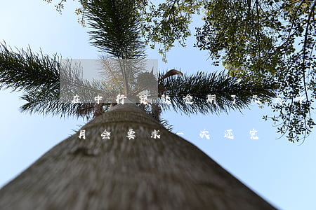在中行贷款逾期了几天(中行的房贷逾期几个月会要求一次还完)