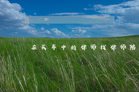 在买车中的律师(找律师陪同买车要多少钱)
