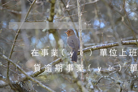 在事業(yè)單位上班欠網(wǎng)貸逾期(事業(yè)單位人員欠網(wǎng)貸會(huì)被開除嗎)
