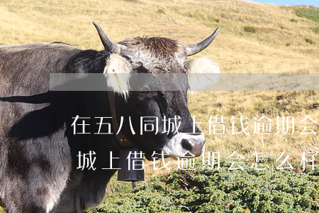 在五八同城上借钱逾期会怎么样-在五八同城上借钱逾期会怎么样吗