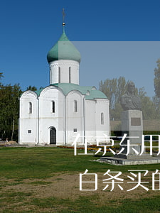 在京东用白条买的东西怎么还款-在京东用白条买的东西怎么还款啊