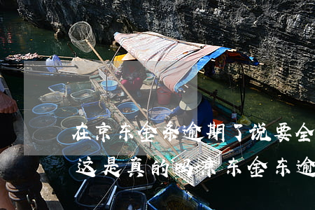在京东金条逾期了说要全部还清不能分期了这是真的吗（京东金东逾期会取消分期吗）