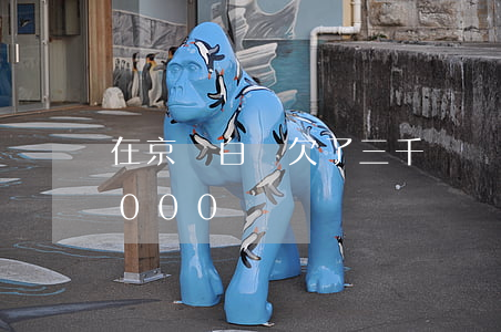 在京東白條欠了三千塊錢逾期(京東白條欠3000)