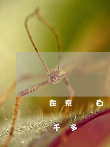 在京東白條欠五千塊會坐牢嗎(京東白條欠兩千多塊錢有什么后果)