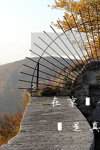 在京東金條逾期了說要全部還清不能分期了這是真的嗎（京東金東逾期會(huì)取消分期嗎）