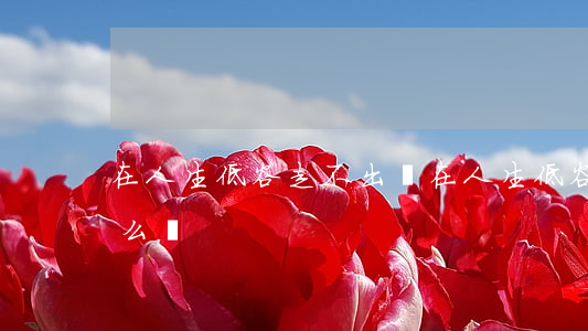 在人生低谷走不出來(在人生低谷走不出來怎么辦)