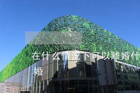 在什么情況下可以離婚(什么情況下一定要離婚)
