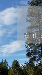 在什么網(wǎng)上可以查到判決書(怎么從網(wǎng)上查到判決書)