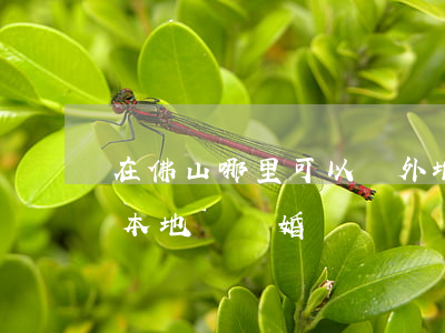 在佛山哪里可以辦外地離婚的(外地人可以在本地辦離婚證嗎?)