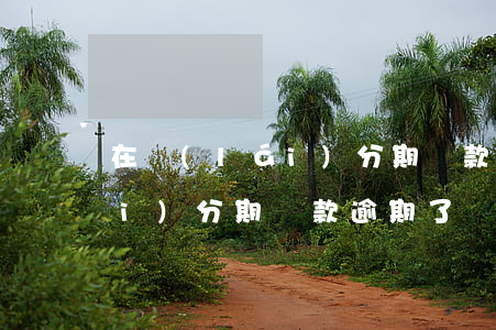 在來(lái)分期貸款逾期了(在來(lái)分期貸款逾期了)
