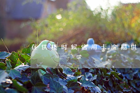 在供楼时候信用卡逾期(供楼逾期怎么处理)