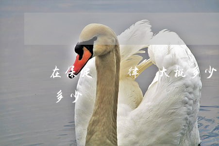 在保定請個律師大概多少錢(河北請律師費用多少錢)