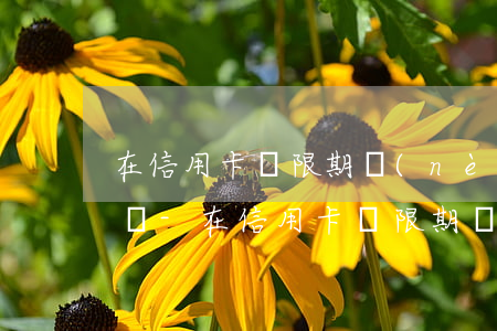 在信用卡寬限期內(nèi)還款算是逾期嗎-在信用卡寬限期內(nèi)還款算是逾期嗎怎么辦
